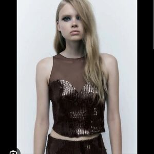 Zara Brown Sequin Crop Top